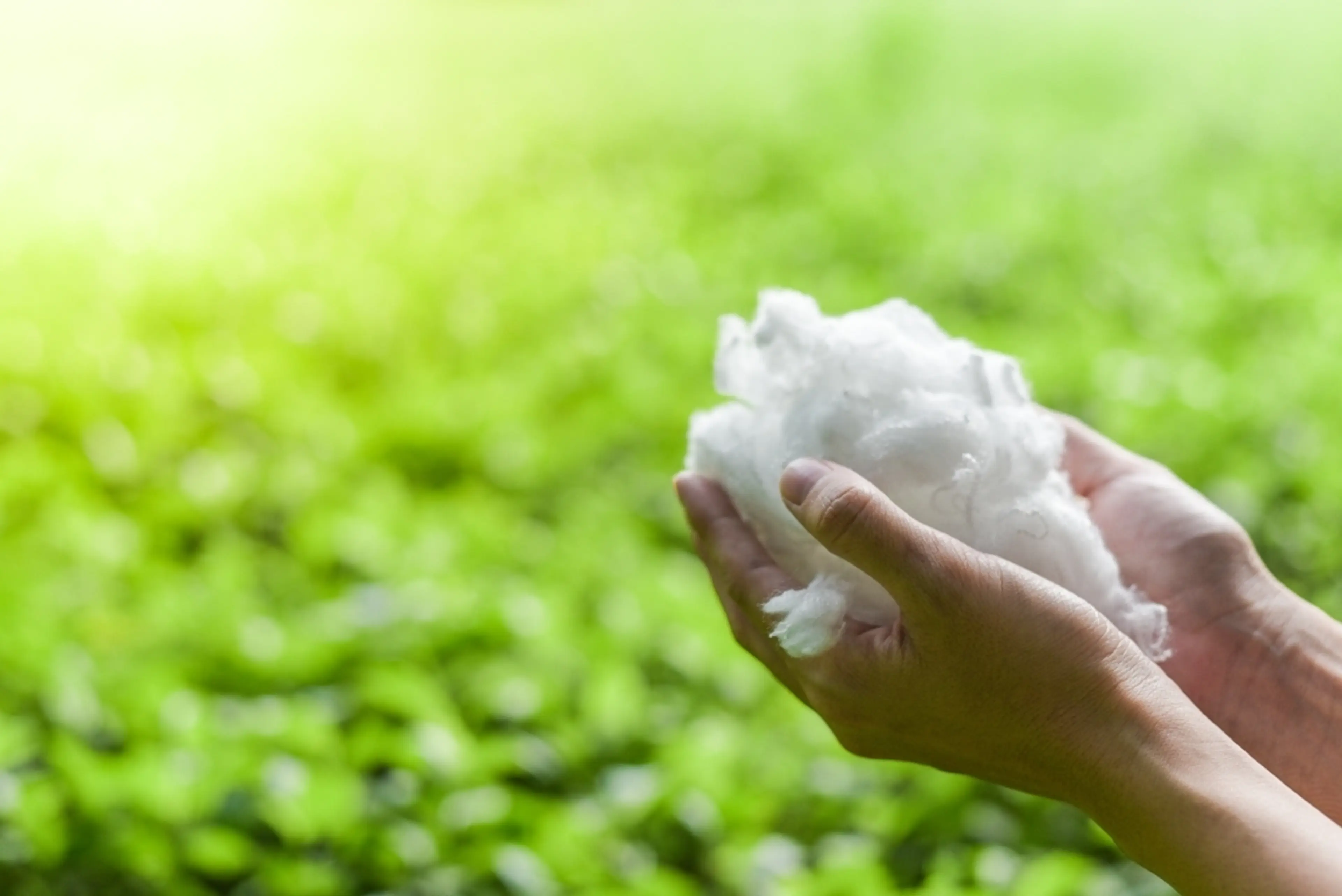 Hands holding white textiles recycling on green grass background